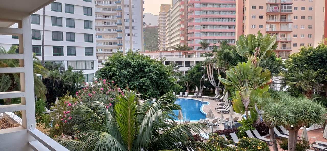 Imagen de la zona de piscina y jardín del Hotel H10 Tenerife Playa